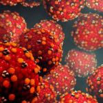 3d illustration Measles virus or virus